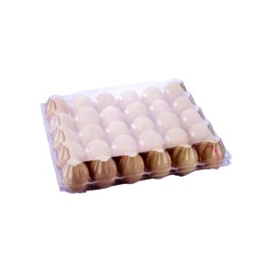 EGG TRAY - (30)